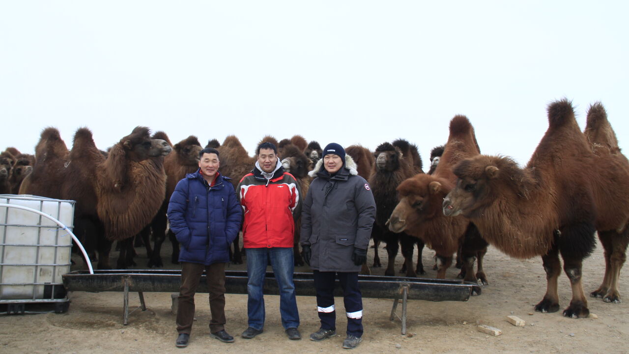 Improving access to water and healthcare in Mongolia