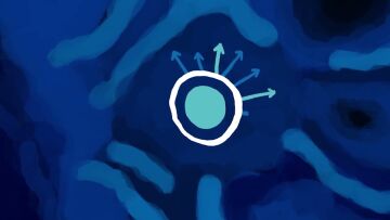 Thiess Group Reconciliation Action Plan (RAP) Artwork